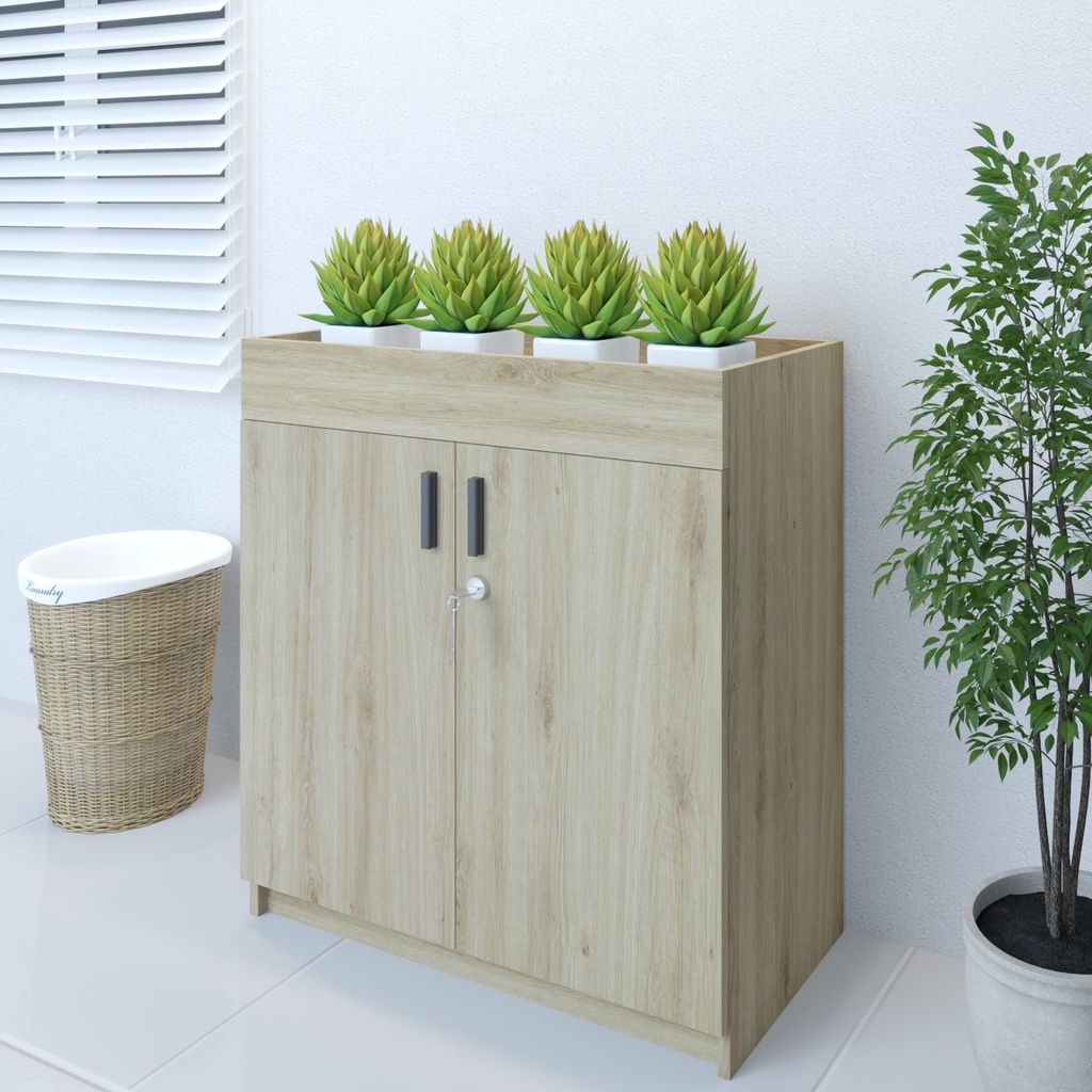 Tủ hồ sơ TU8075-2BC