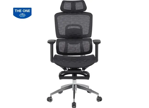 Ghế Công Thái học GLE13