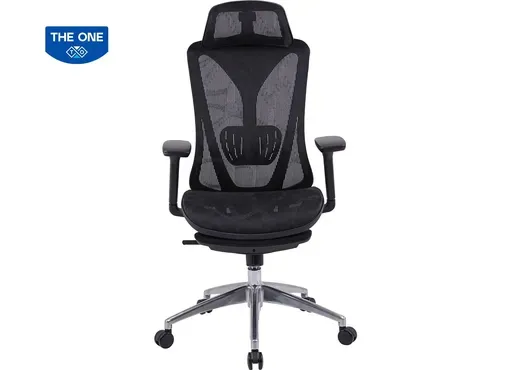 Ghế Công Thái học GLE15