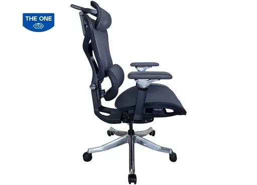 Ghế Công Thái học GLE16