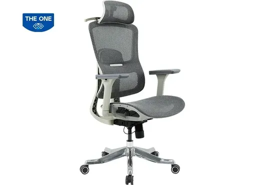 Ghế Công Thái học GLE20
