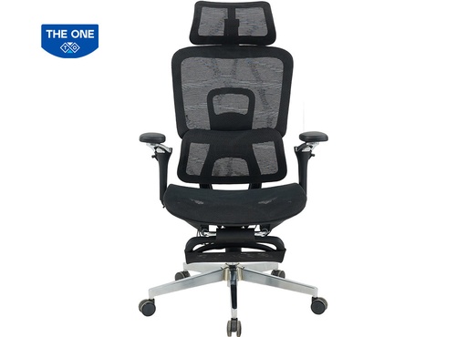 Ghế Công Thái học GLE25